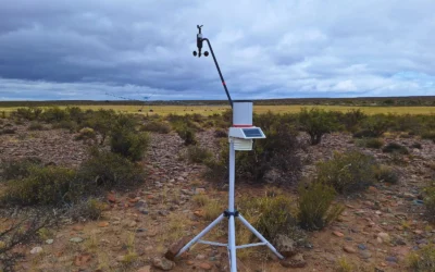 Radar ganadero para la Patagonia