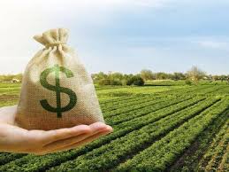 En Rosario pagaron $290.000 por la tonelada de soja cuando hace un año llegó a $275.000