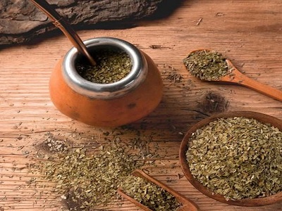 Argentina: con mayor rentabilidad que el sistema tradicional, la yerba mate orgánica se consolida en Misiones