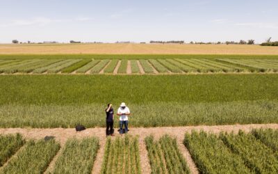El Gobierno Nacional simplificó el registro de variedades vegetales