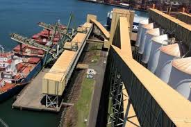 La producción argentina de granos 2024/25 se perfila como la segunda más alta de la historia