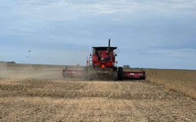 El uso de fertilizantes aumentó un 7% en 2024
