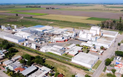 Importante inversión: una de las mayores cooperativas lácteas pone decenas de paneles solares y acelera un cambio de paradigma