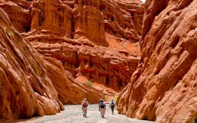 La ruta desconocida que atraviesa un paisaje “marciano” argentino entre valles, cañones y vistas panorámicas