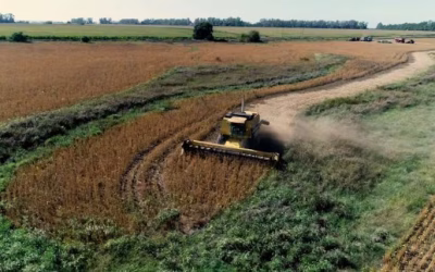 Anunciaron descuentos en el Inmobiliario Rural Bonaerense y este año los productores pagarían menos