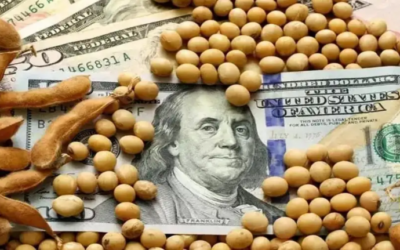 Panorama del sector agrícola: aumento de divisas y desafíos en logística y comercialización