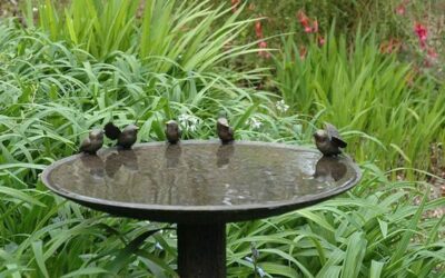 Jardines regenerativos: la tendencia en paisajismo que está arrasando