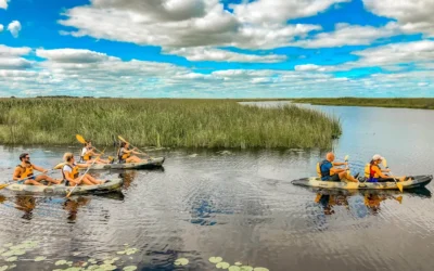 Cuál es y dónde queda el paraíso oculto de Argentina ideal para hacer safari fotográfico en una experiencia única
