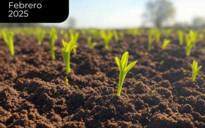 Luego de la recuperación, ¿viene el crecimiento?