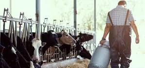 Día del Tambero: Mastellone Hnos. celebra el compromiso de quienes hacen posible la lechería argentina