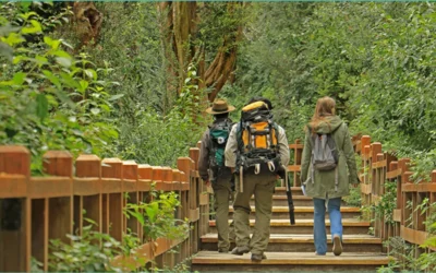 10 actividades imperdibles para practicar en la ciudad más turística de la región patagónica en otoño