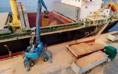 Embarques de soja: el segundo mejor agosto de la historia