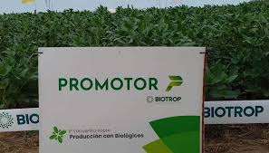Un tratamiento de semillas biológico para ser un “promotor” del crecimiento en el trigo
