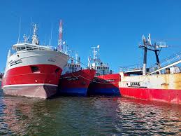 La insólita actualidad del sector pesquero explicada por un empresario del sector: “No están saliendo barcos”