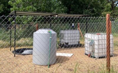 Investigación: Camas Biológicas – Biobeds