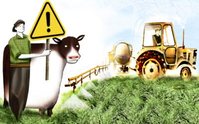 Atentos con el nitrógeno: ni de menos ni de más