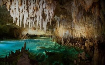 Islas Caimán: experiencias imperdibles más allá de la playa