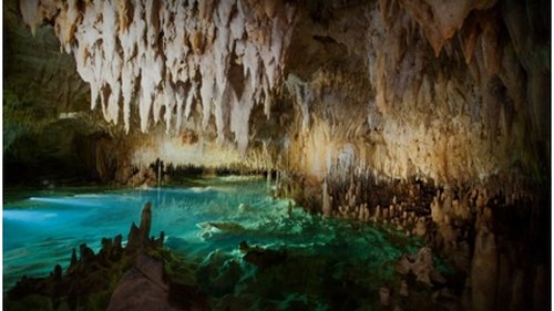 Islas Caimán: experiencias imperdibles más allá de la playa