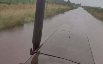 Alerta general: Se viene un tanda de lluvias abundantes que podría promover anegamientos e inundaciones