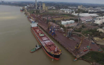 En 10 años, para el 2035, la producción agroindustrial argentina podría llegar a las 159 millones de toneladas