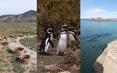 Ni El Calafate ni El Chaltén: los paraísos escondidos en Santa Cruz para recorrer y acampar gratis