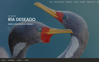 Presentan un nuevo sitio web para conocer las Áreas Costeras y Marinas Protegidas de Argentina