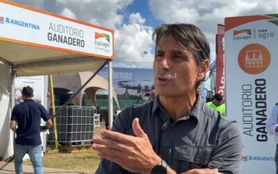 Ante buenos precios, es momento de intensificar tranqueras adentro