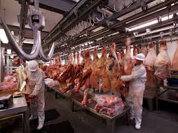 Faena de hembras: ¿Hemos alcanzado un techo en el nivel de extracción?