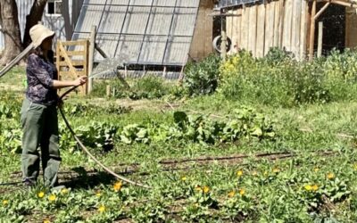 Otra que Heidi: En Río Negro se va a construir una villa agroecológica que aspira a ser una solución a la inseguridad rural y al suministro de alimentos sanos