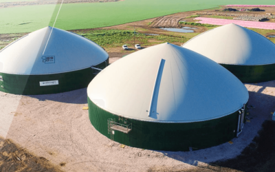 Nuevo mundo: una gigante “cripto” controlará uno de los mayores holdings del agro argentino