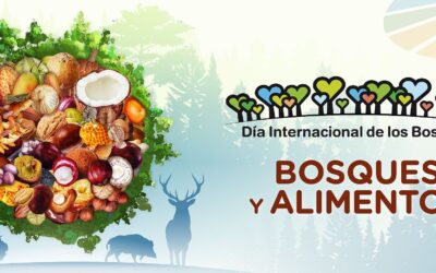Este 21 de marzo es el Día Internacional de los Bosques