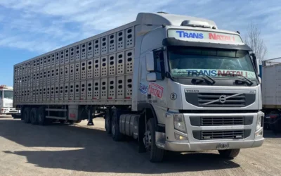 Crearon la primera jaula para animales de hasta tres pisos y ahora tienen 44 camiones