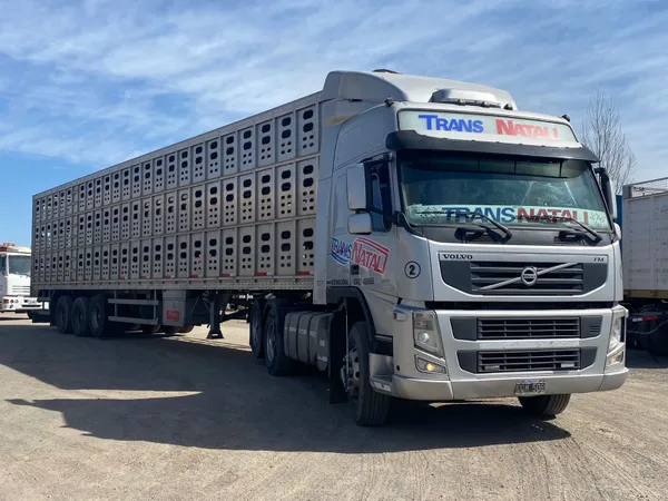 Crearon la primera jaula para animales de hasta tres pisos y ahora tienen 44 camiones