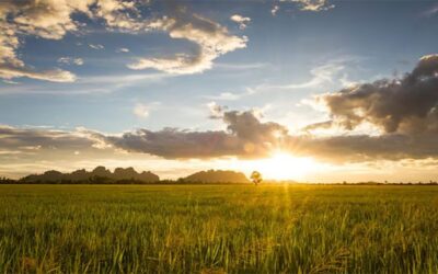 Clima: transición mensual seca, y un tránsito a la siembra de fina más frío
