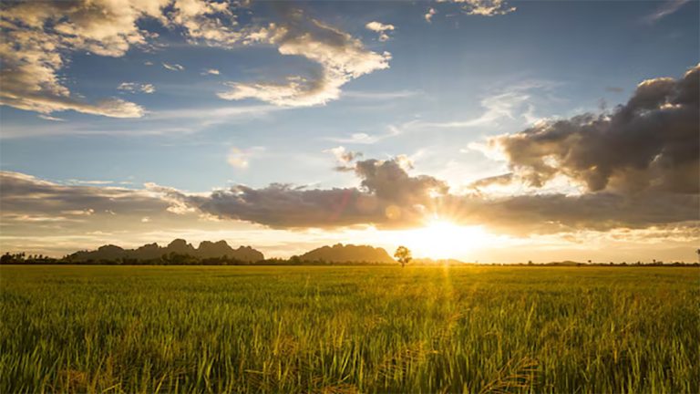 Clima: transición mensual seca, y un tránsito a la siembra de fina más frío