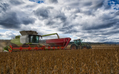 Cómo alcanzar una cosecha eficiente con la digitalización de la gestión agropecuaria