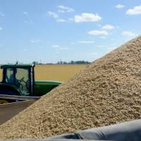 Las ventas externas agroindustriales mantienen su tendencia positiva en 2025 con una mejora del 25% en volumen