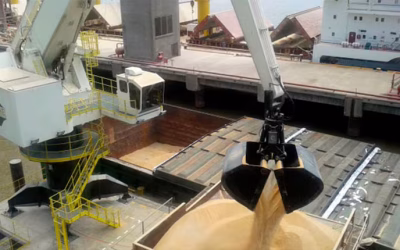 Las exportaciones mundiales de los principales productos agro de mayor interés para Argentina crecerán a una tasa más lenta que la década previa