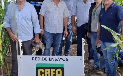 Nutrición y manejo de suelos: resultados de más de 25 años de trabajo conjunto entre Nutrien y CREA Sur de Santa Fe