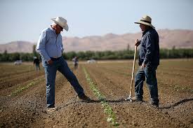 En Estados Unidos prevén que su producción agrícola disminuirá en los próximos años