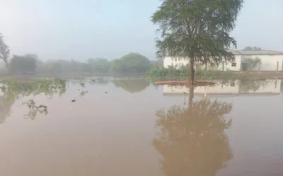 Preocupación en el Chaco salteño: crecida del Bermejo agrava la situación y aísla comunidades enteras
