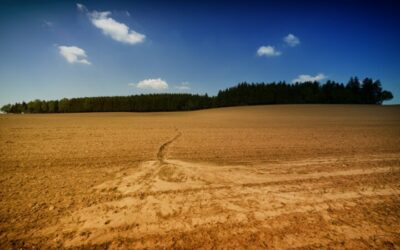 Corrección de suelos salino-sódicos con nanotecnología