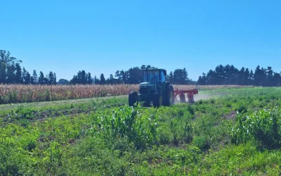 Innovación en las estrategias de manejo de malezas