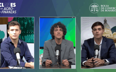 Nuevo informe semanal de la BCR: el impacto del nuevo esquema cambiario en los precios de los granos