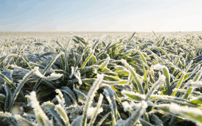 Hay una entrada breve de aire polar luego retornarán los vientos del trópico