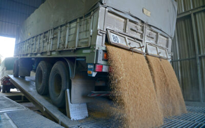 El Gobierno Nacional eliminó el Registro Único de la Cadena Agroindustrial (RUCA) y avanza en la simplificación administrativa del sector agropecuario