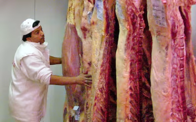 Dura medida: México suspendió las exportaciones de 10 frigoríficos argentinos por un incumplimiento sanitario