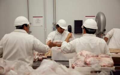 Récord de producción y consumo de carne porcina en el primer bimestre del año