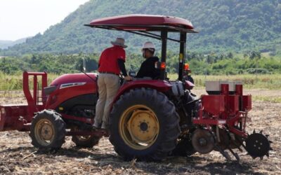 ¿Quiénes producen los granos en Argentina?