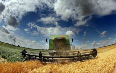 Tras la baja de retenciones, la presión impositiva en la renta agrícola cayó al menor nivel en cinco años